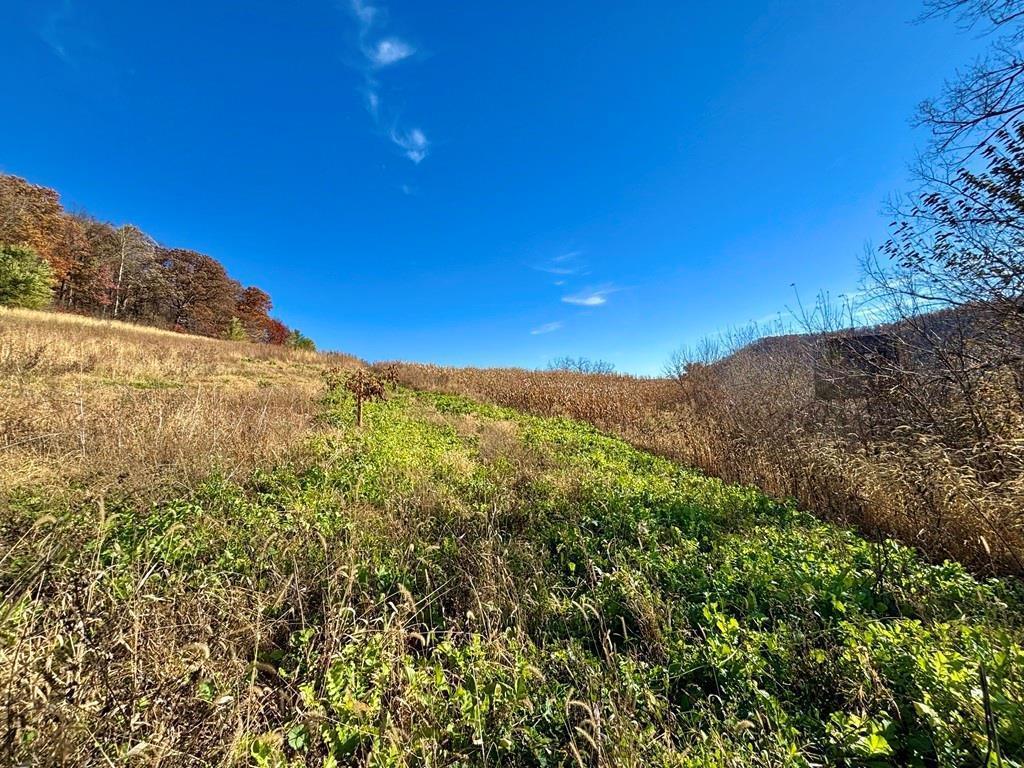 main property photo 30