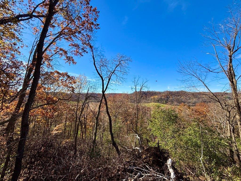 main property photo 44