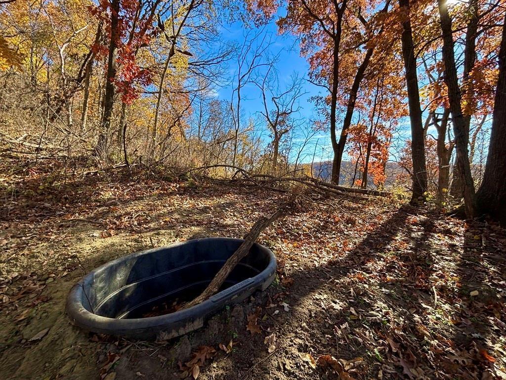 main property photo 45