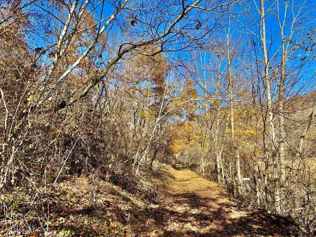 main property photo 46