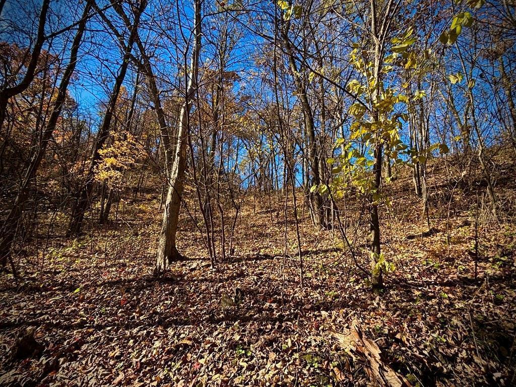 main property photo 47
