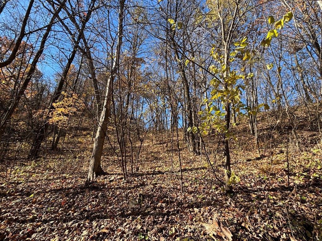 main property photo 49