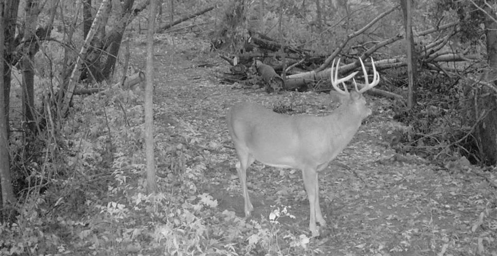 main property photo 51