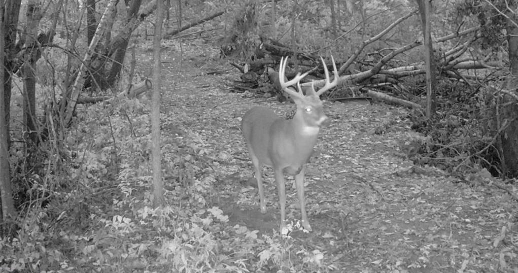 main property photo 56