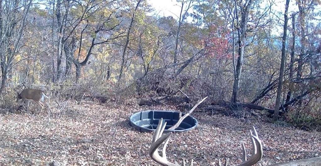 main property photo 58
