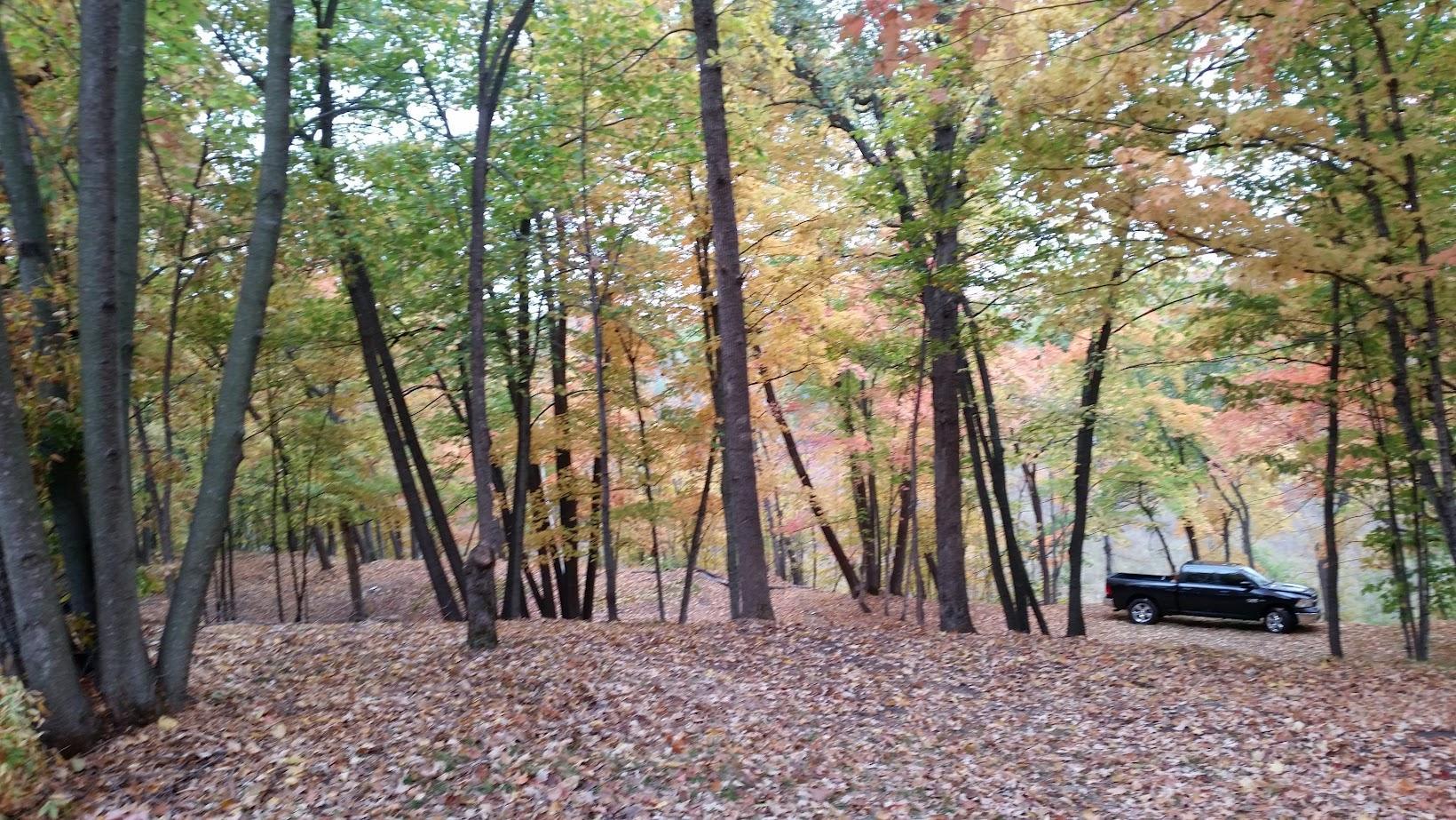 main property photo 10