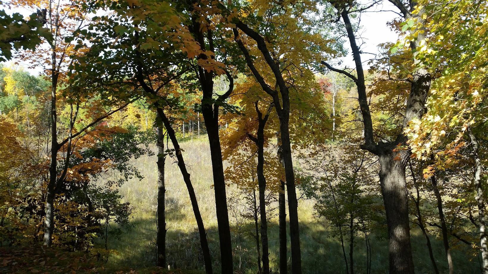 main property photo 12
