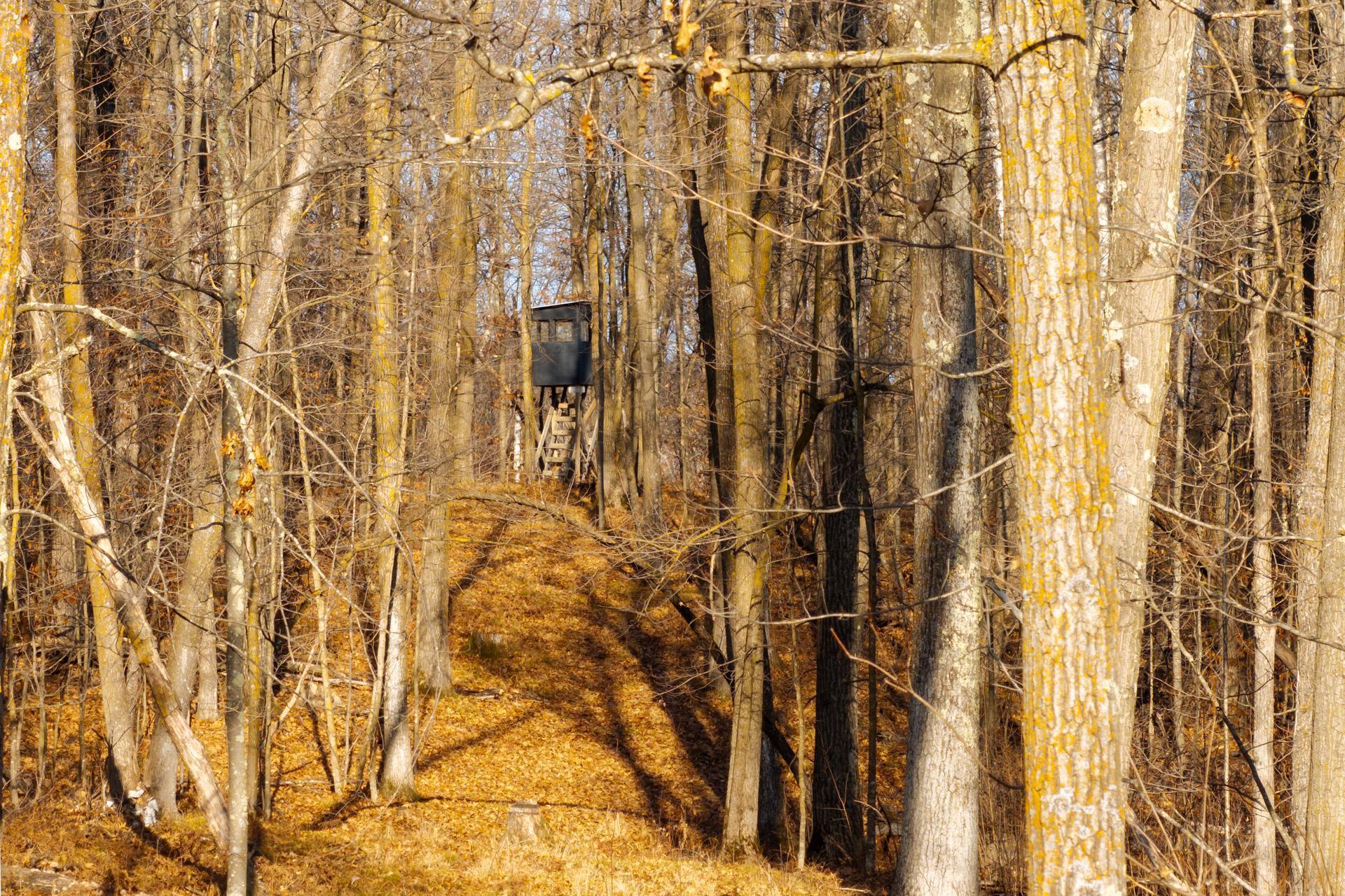 main property photo 21