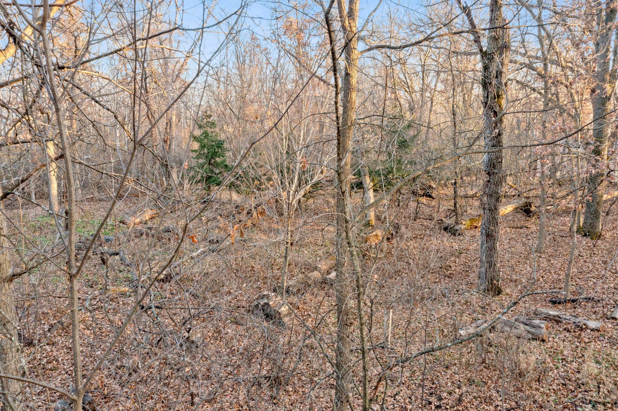 main property photo 15