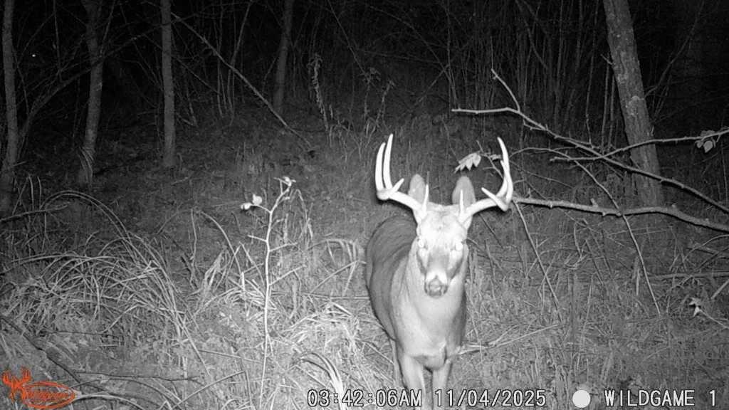 main property photo 30