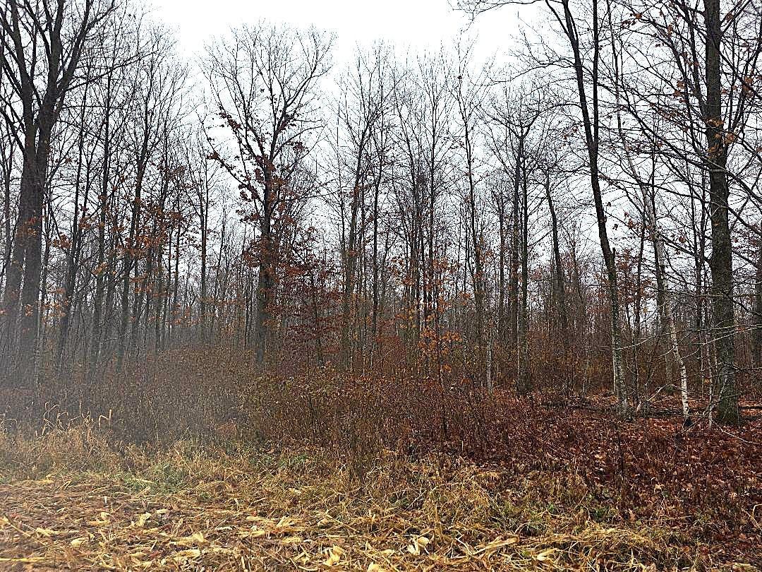 main property photo 11