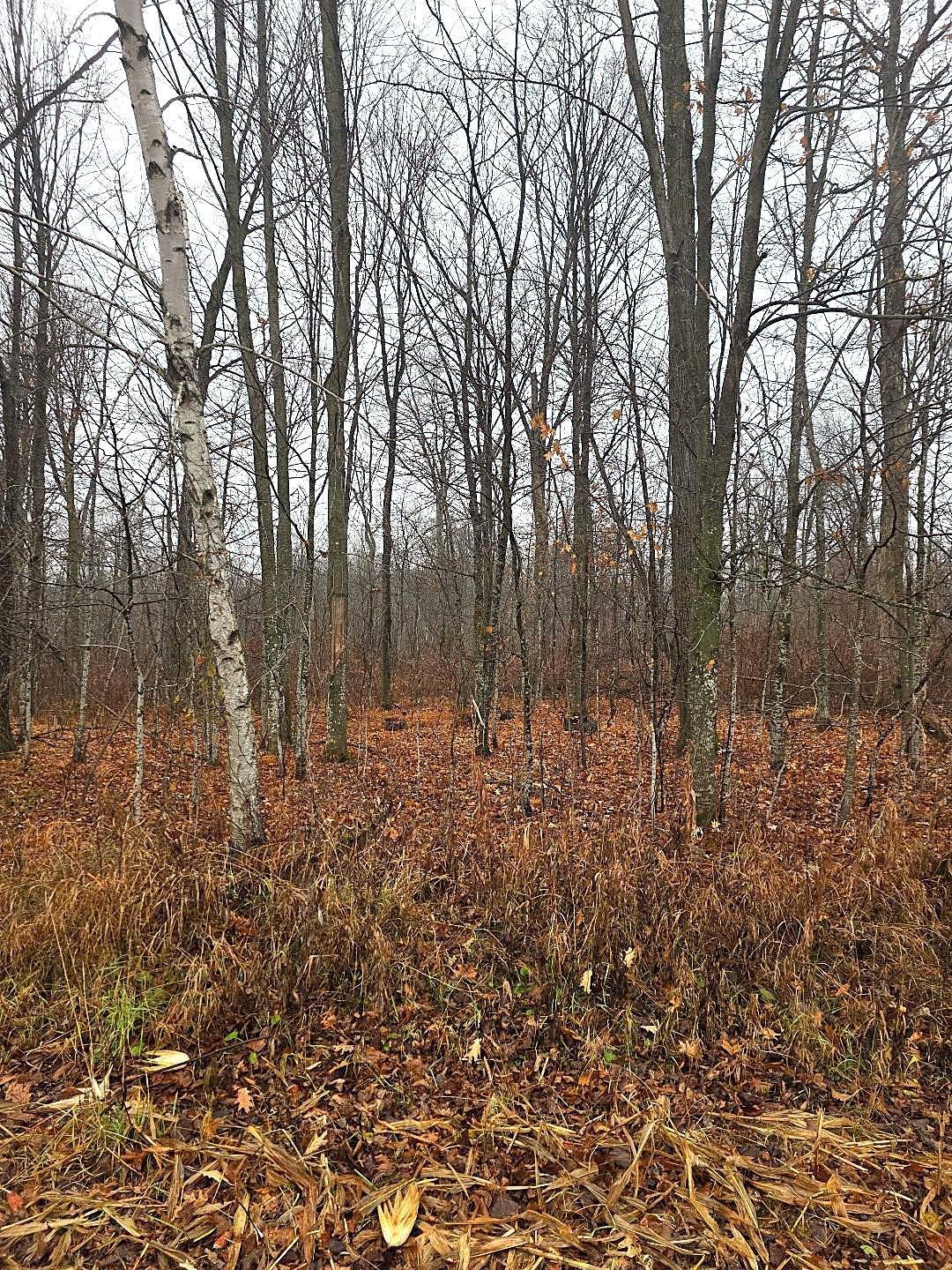 main property photo 12