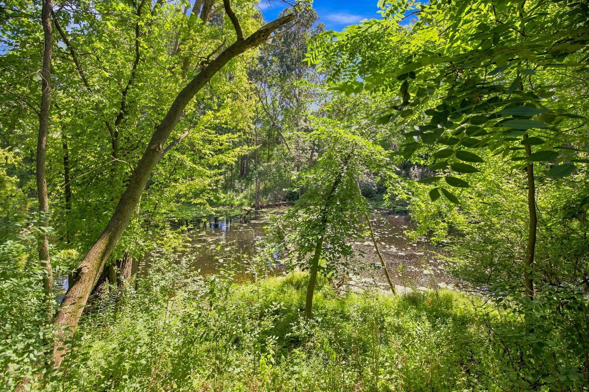 main property photo 51
