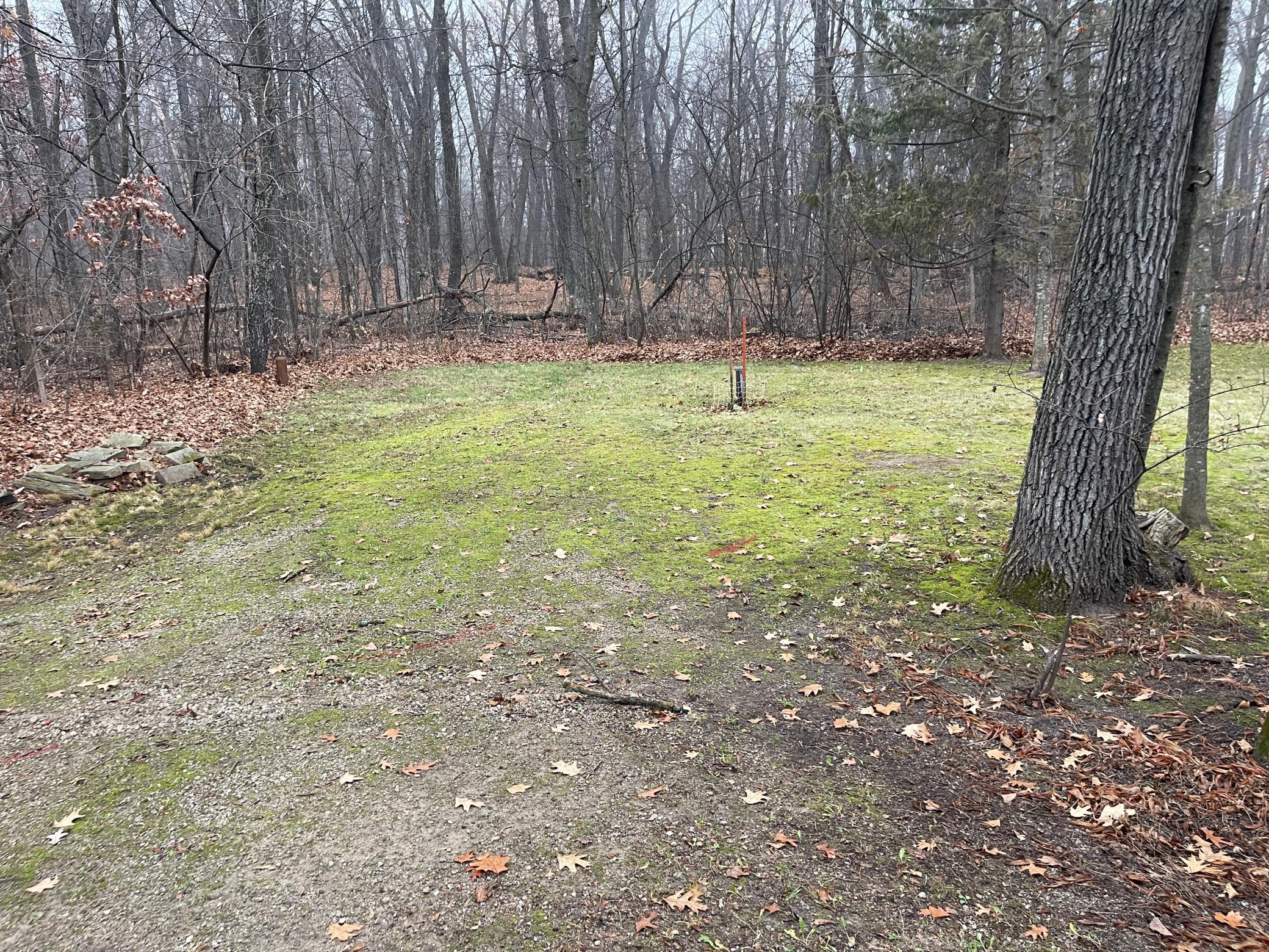 main property photo 58