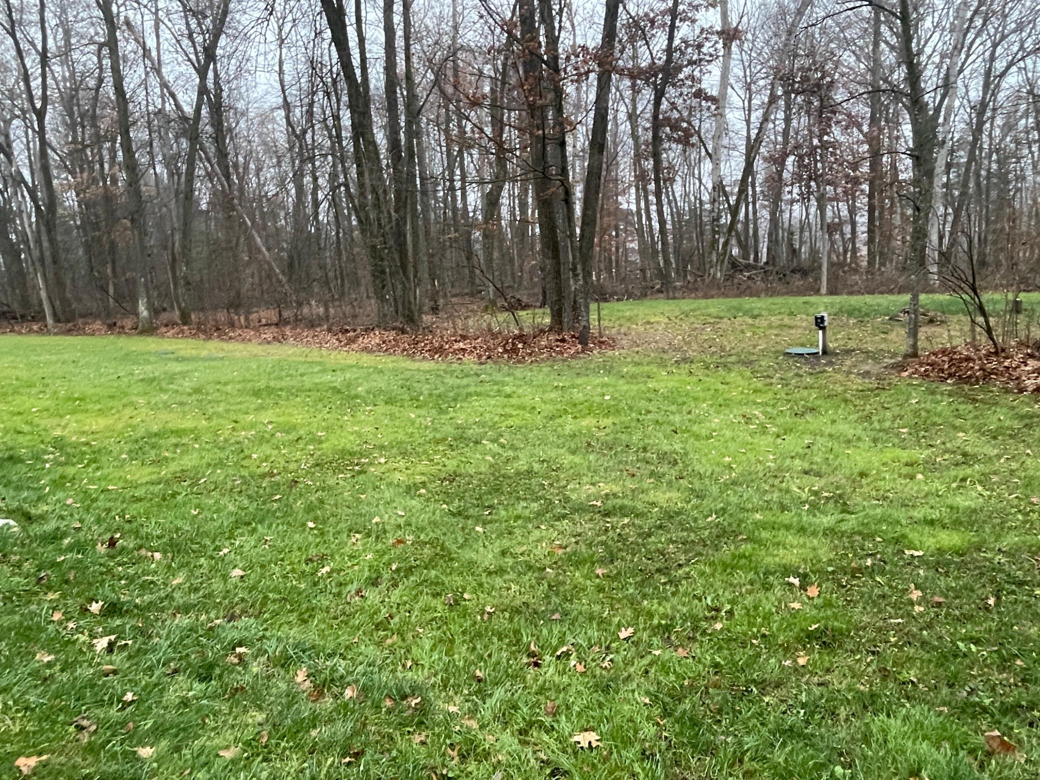 main property photo 59