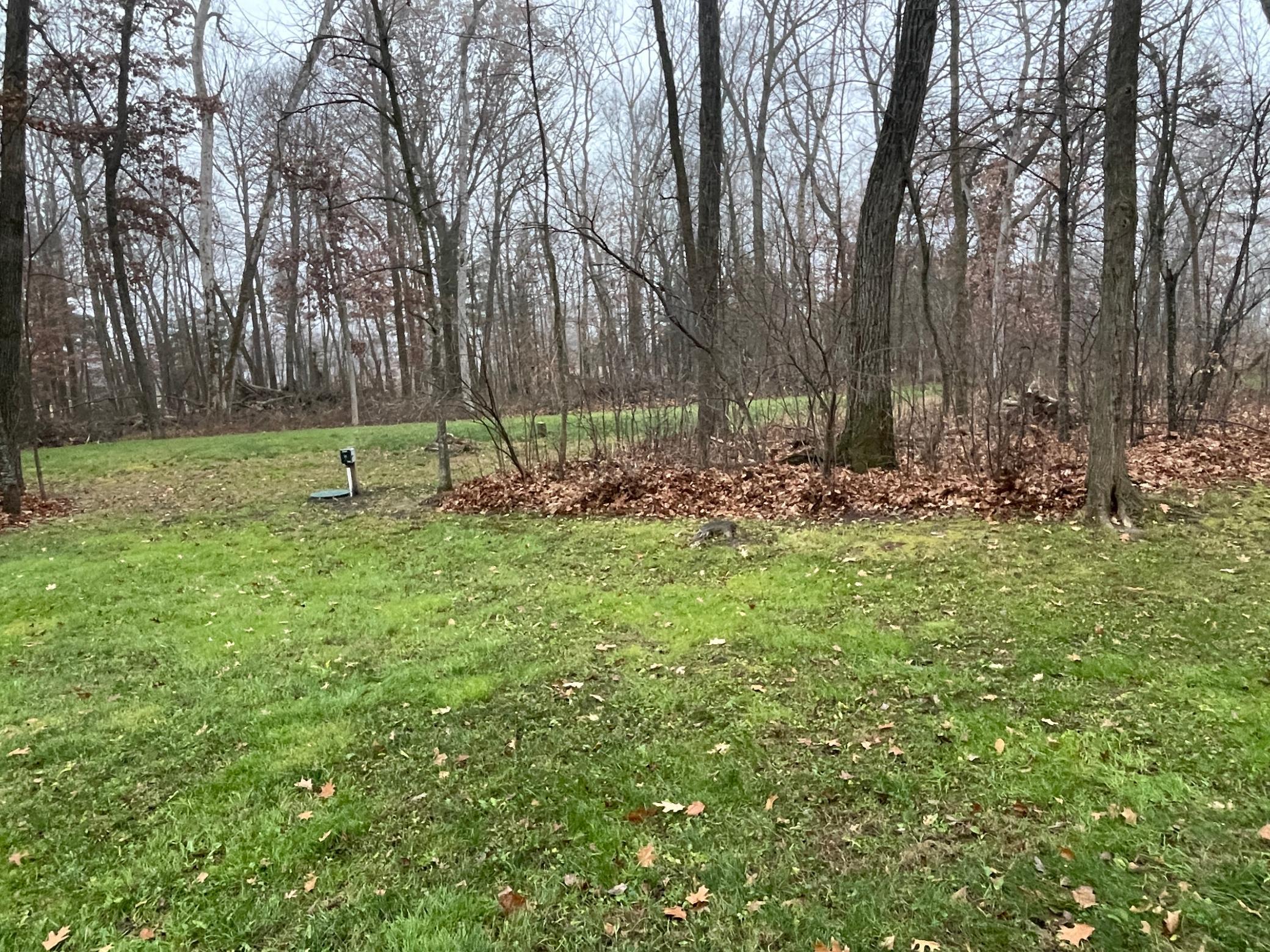 main property photo 60