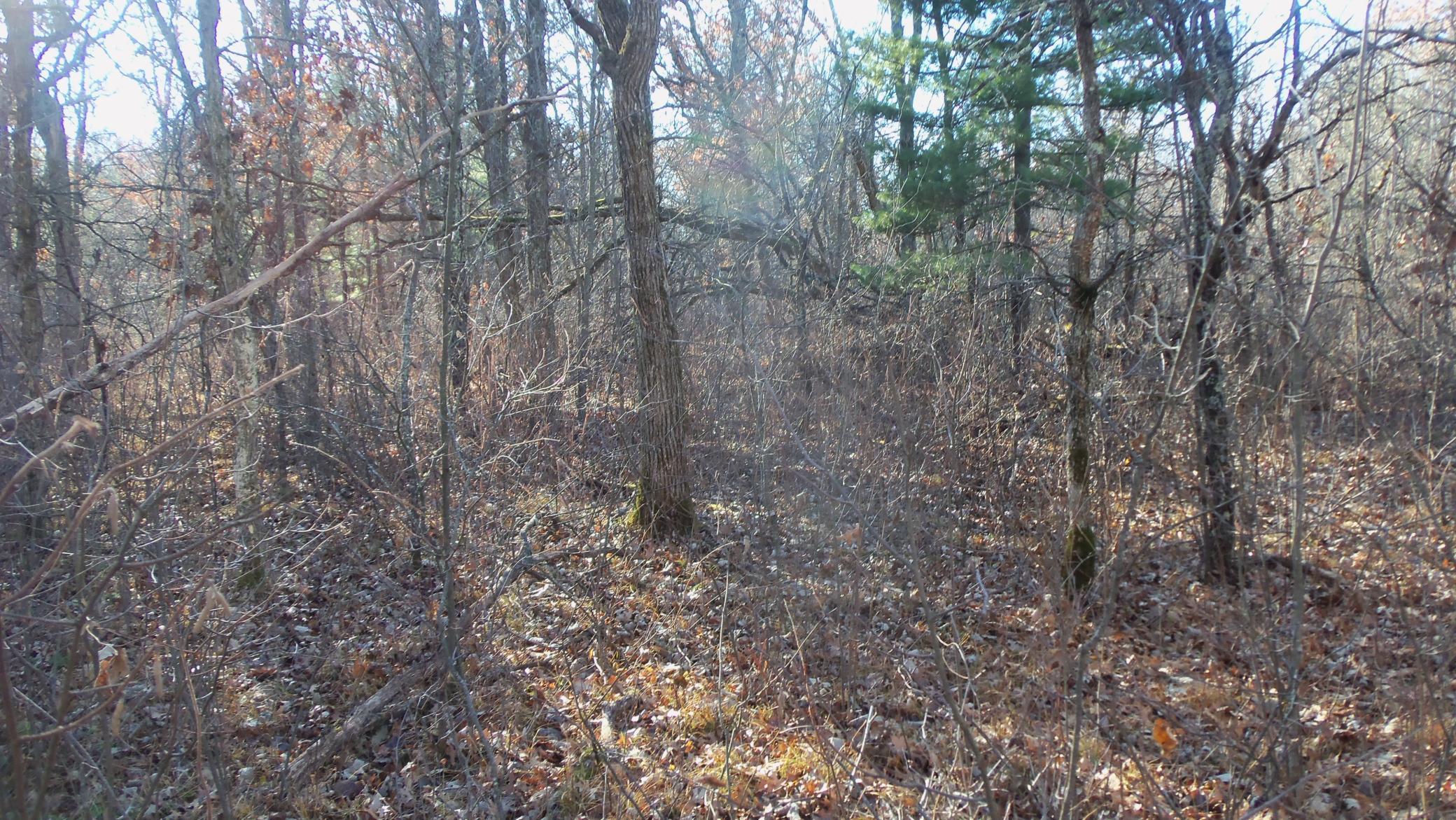 main property photo 7