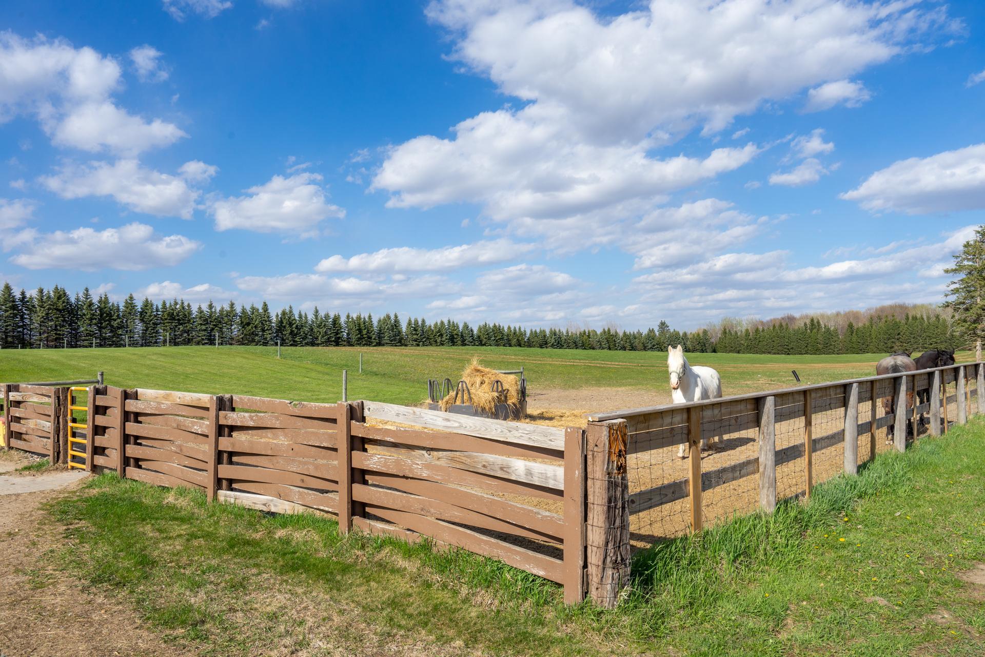main property photo 54