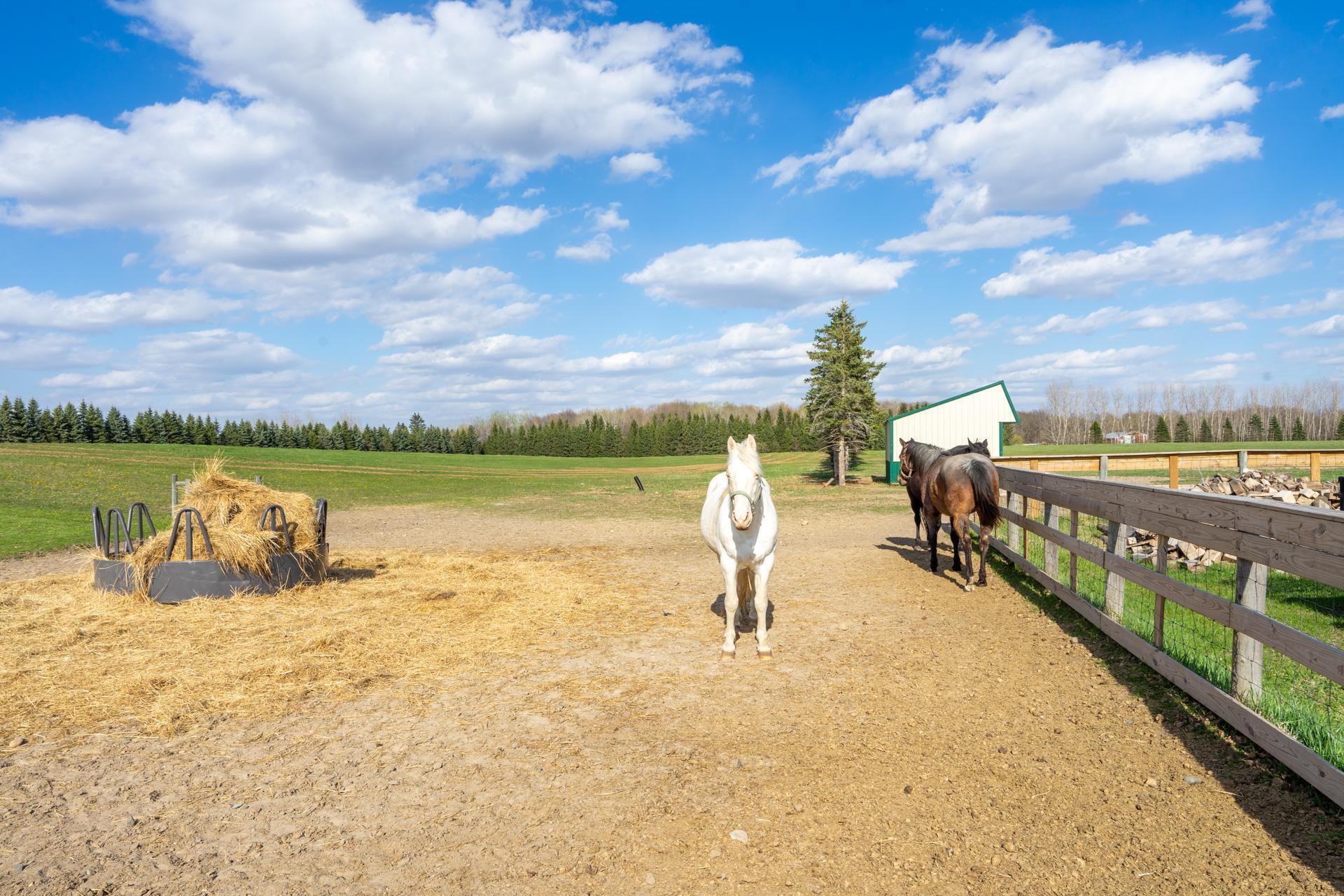 main property photo 55