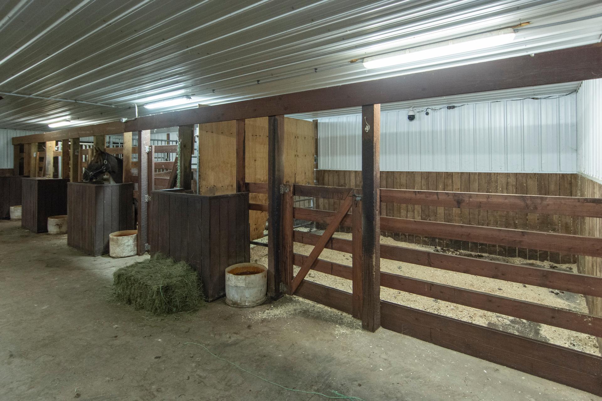 main property photo 61