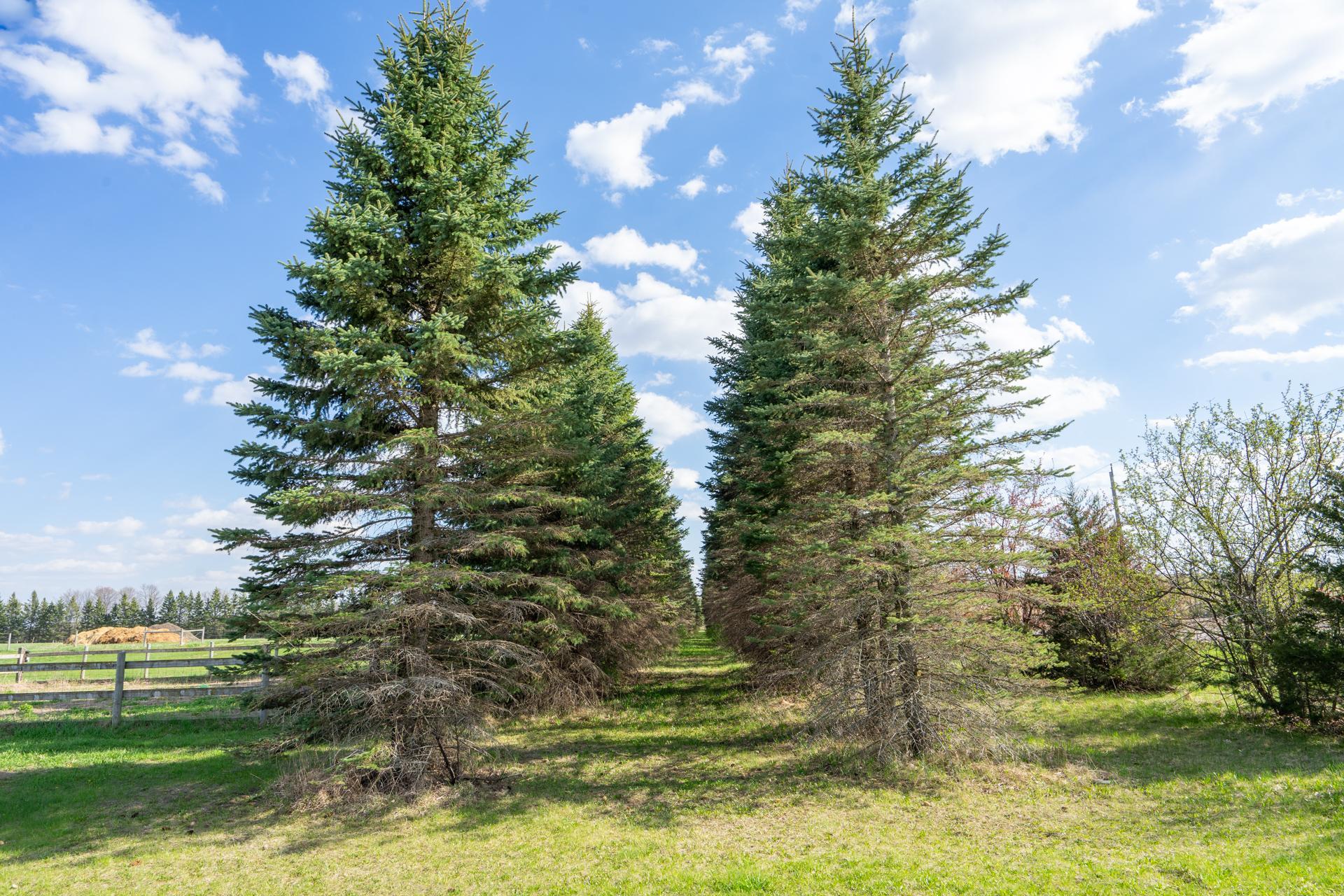 main property photo 67