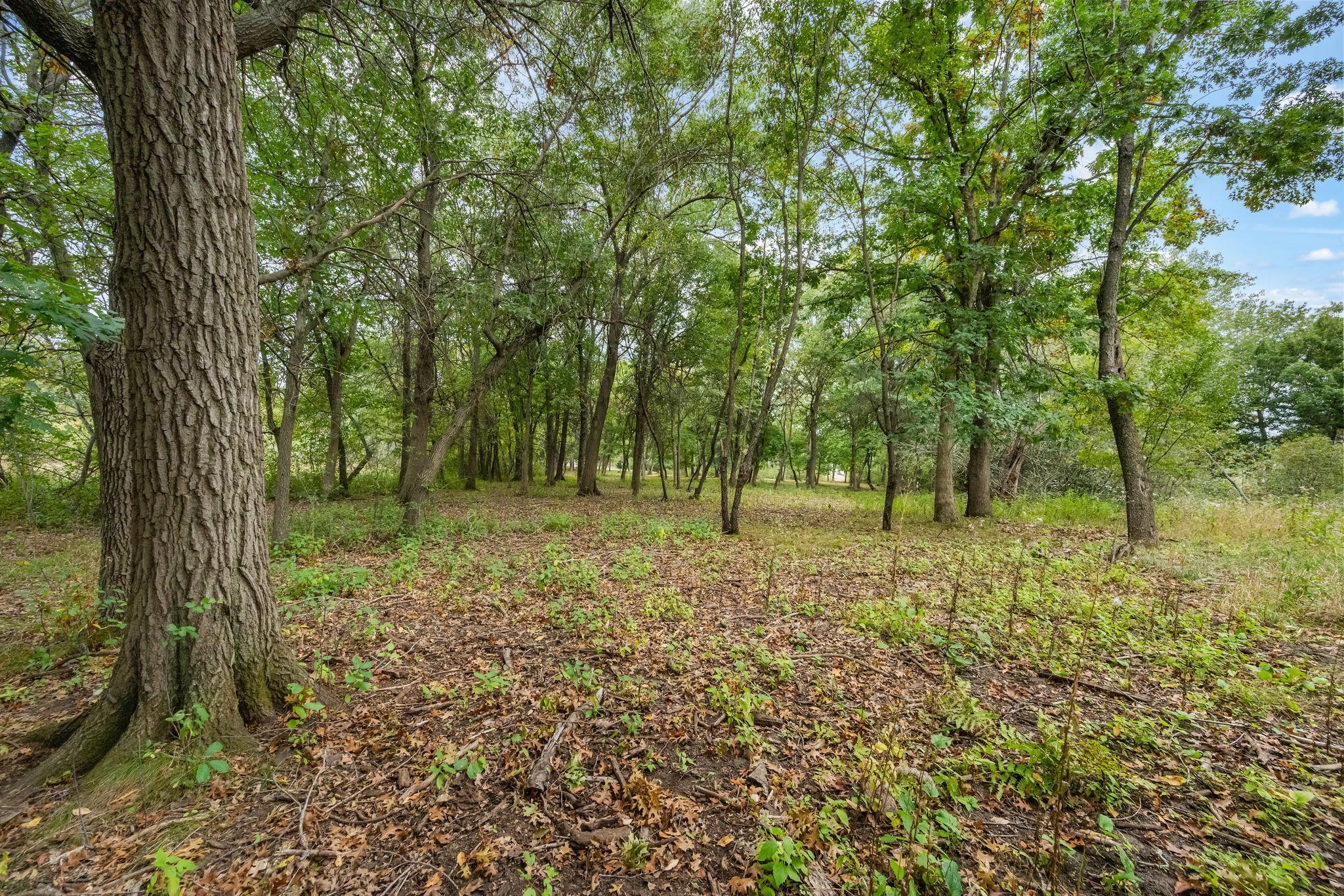 main property photo 25