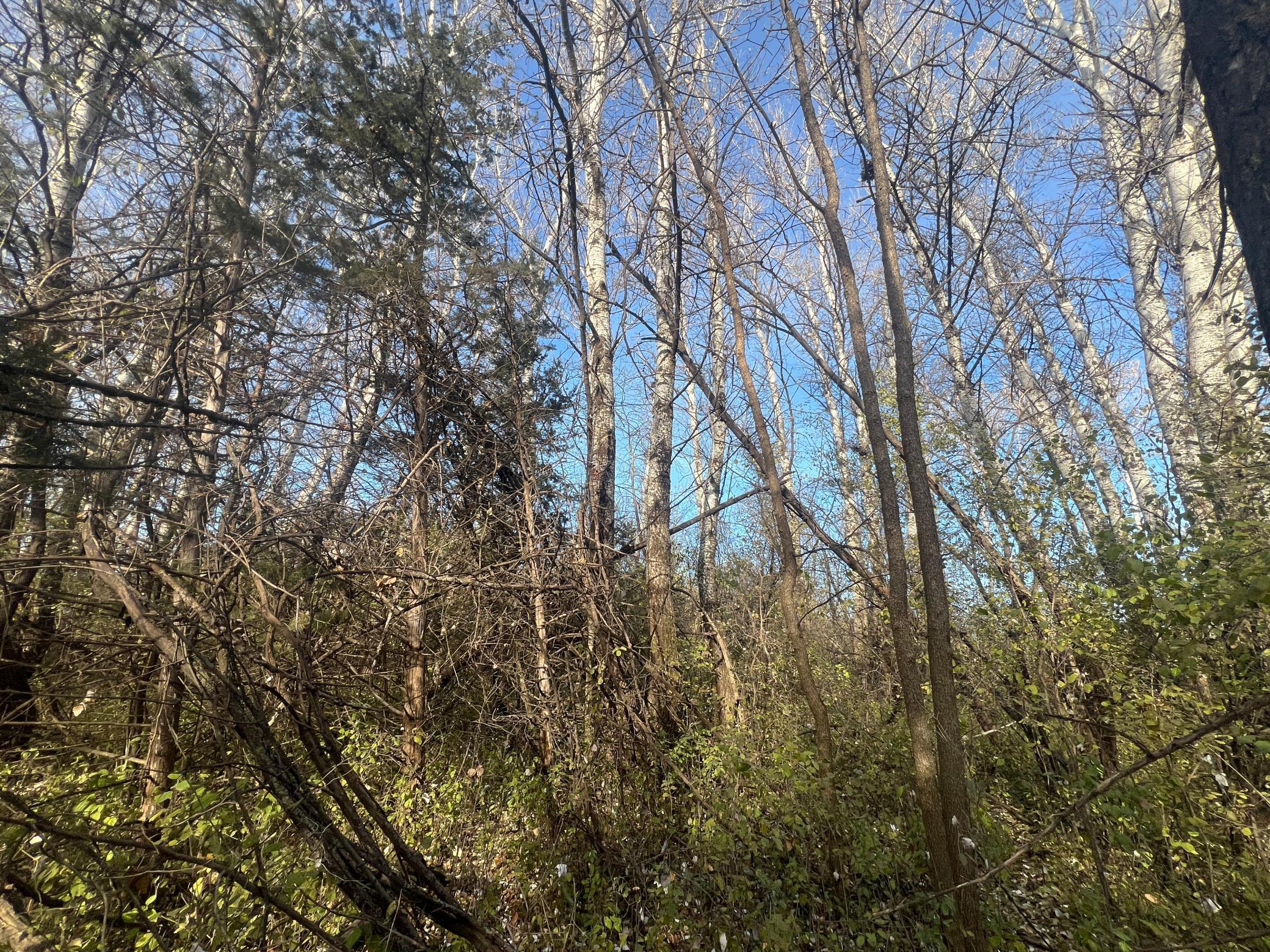 main property photo 8
