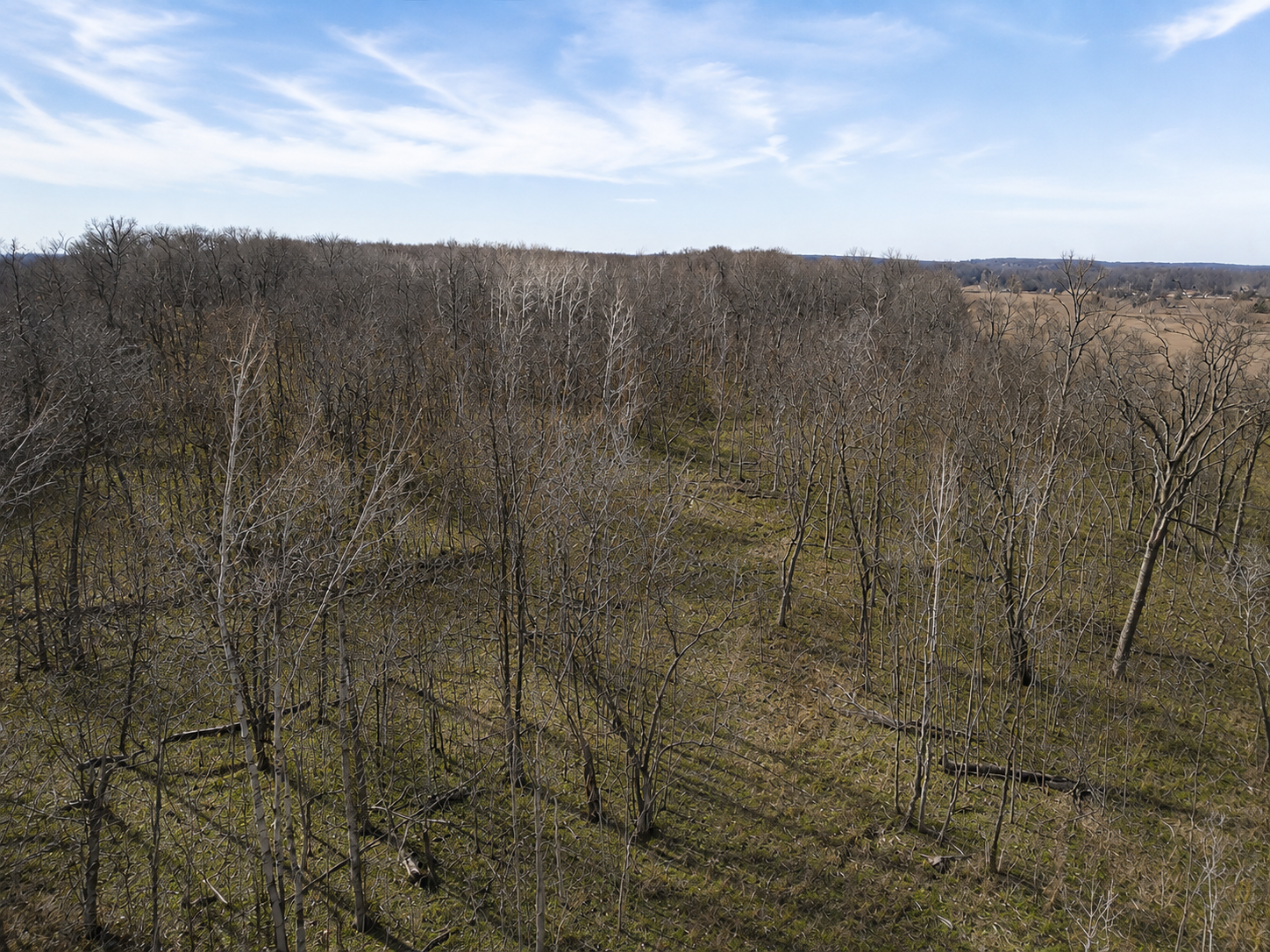 main property photo 13