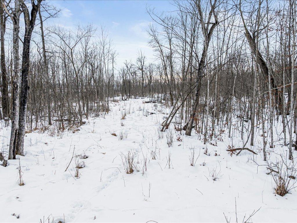 main property photo 25