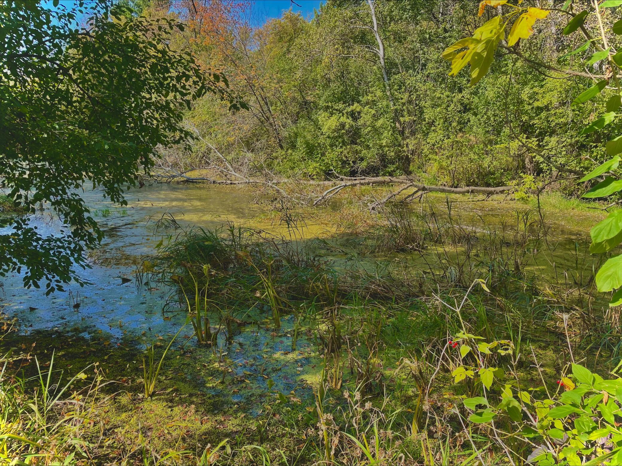 main property photo 16