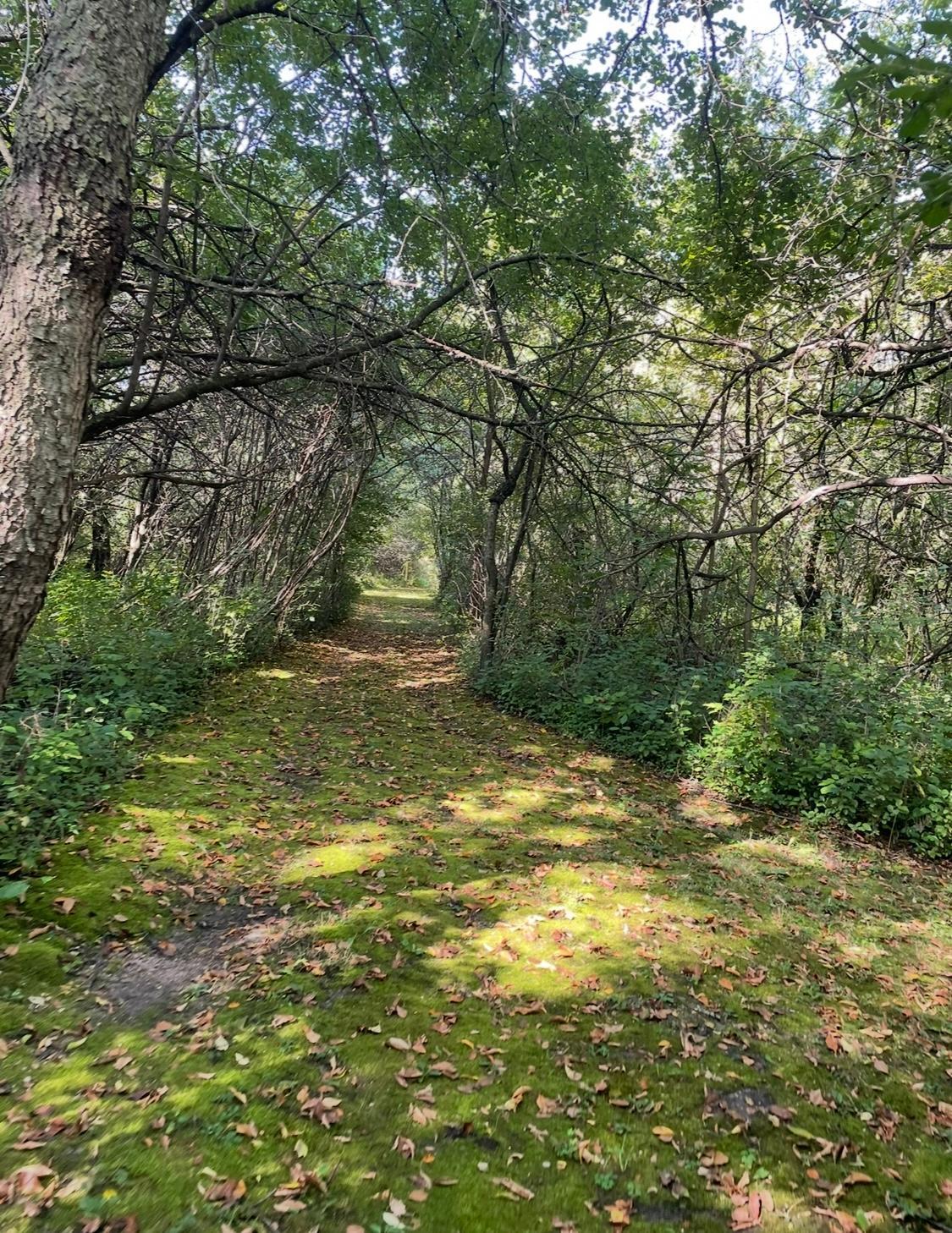 main property photo 20