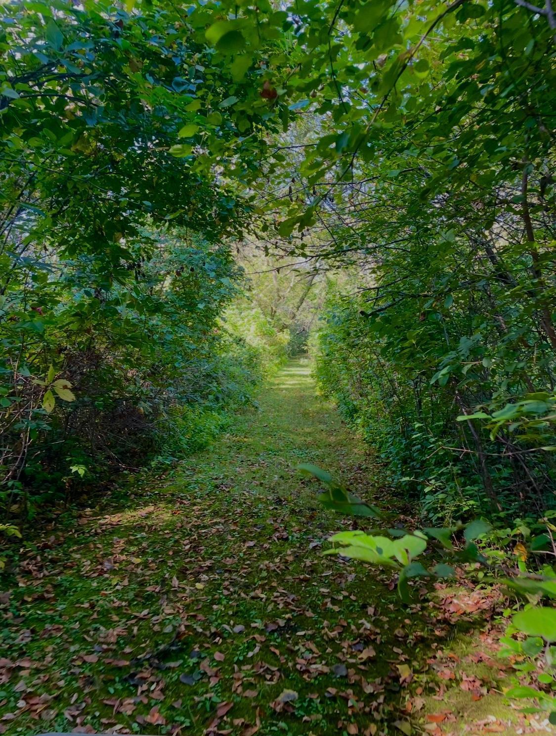 main property photo 21