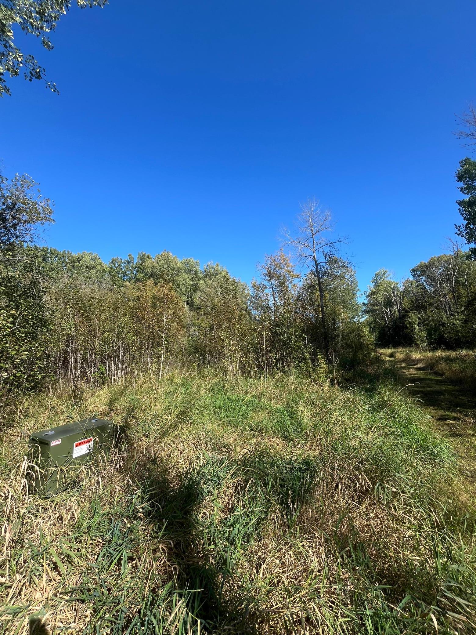main property photo 17