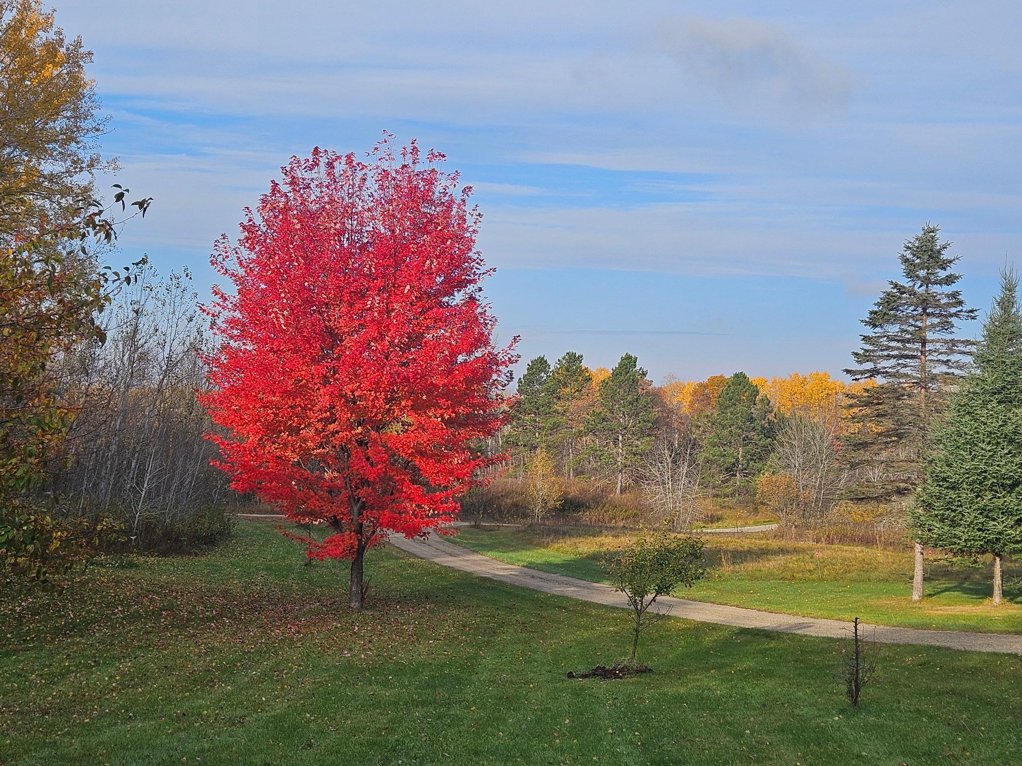 main property photo 42