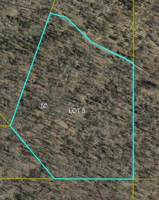 main property photo 9