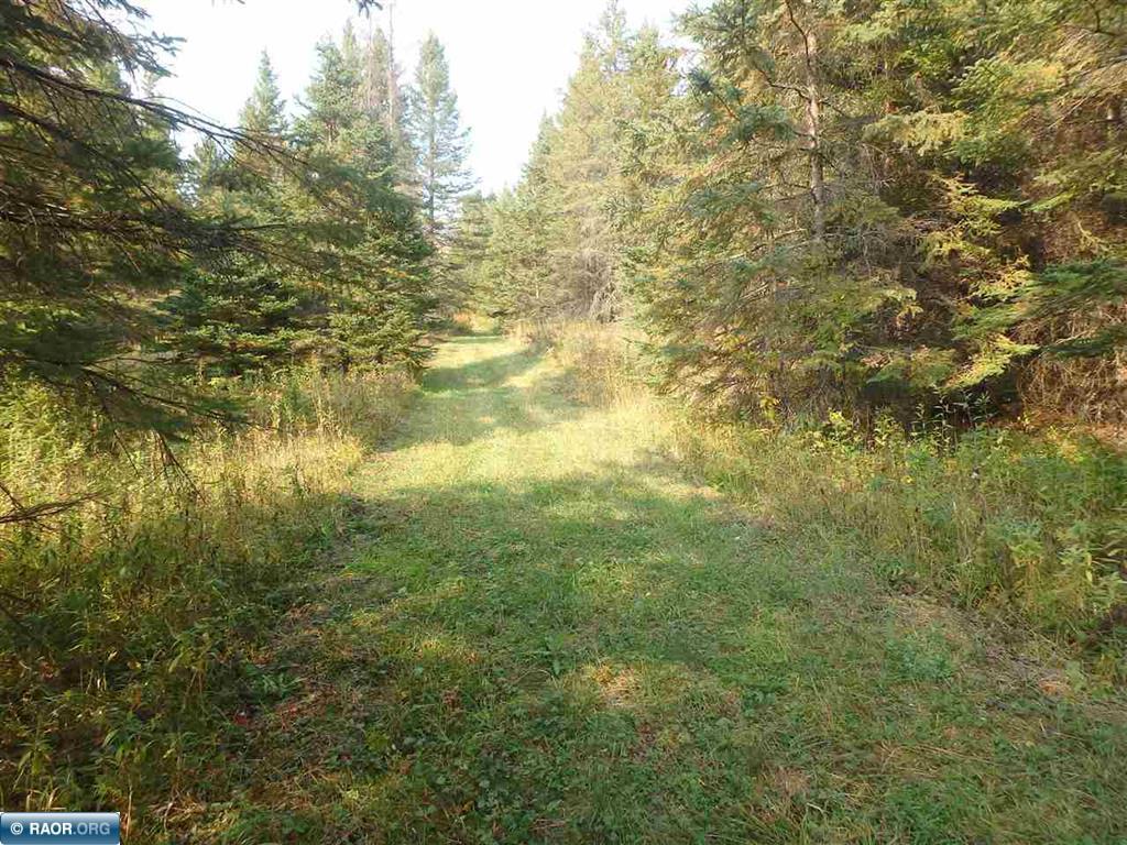 main property photo 41