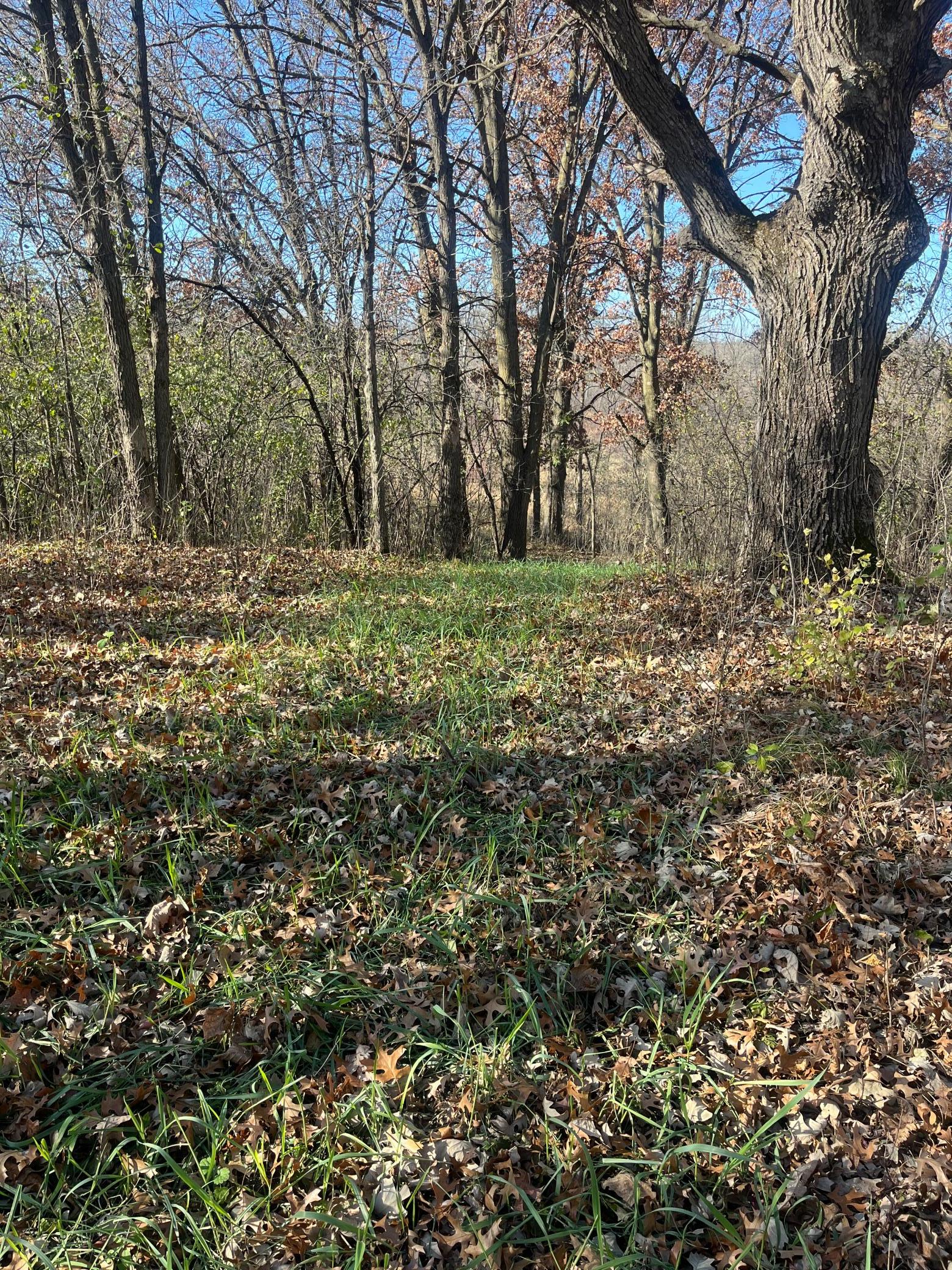 main property photo 11