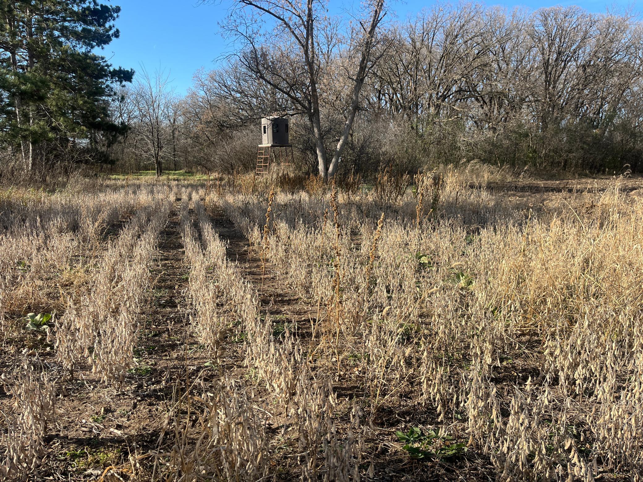 main property photo 19
