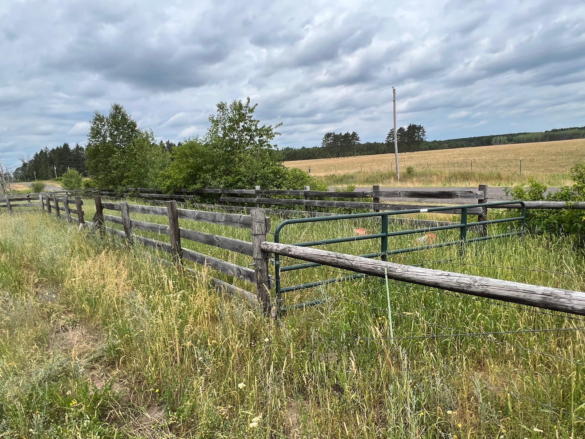main property photo 32