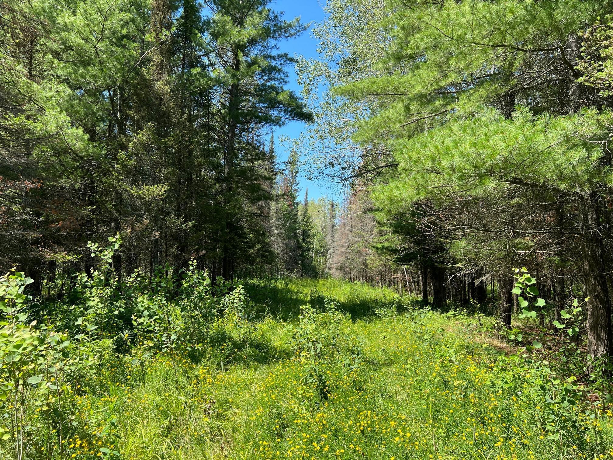 main property photo 42