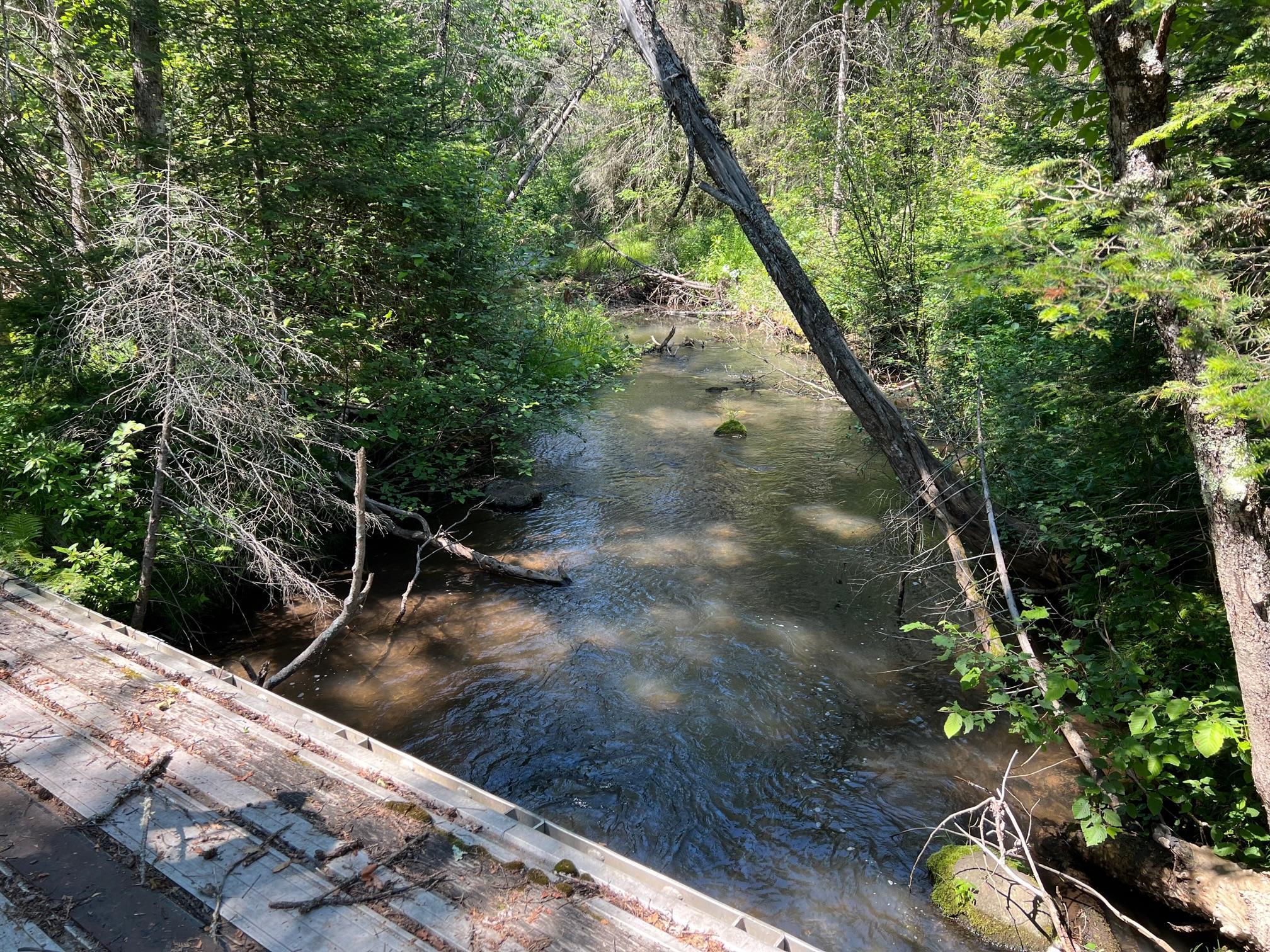 main property photo 43