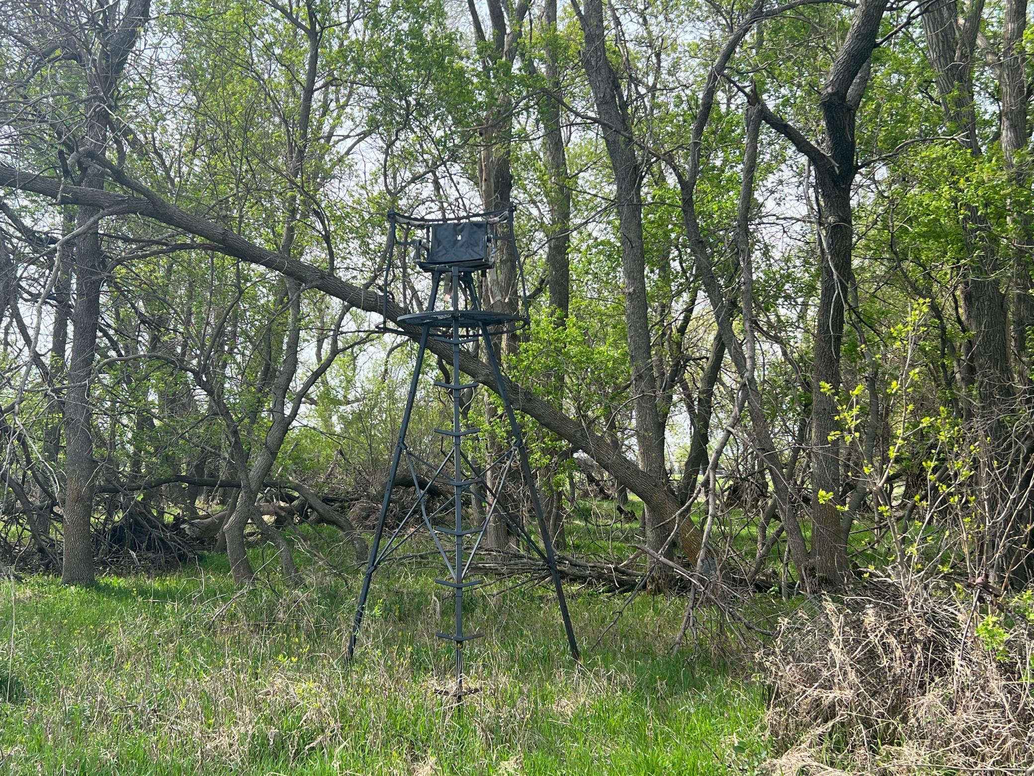 main property photo 16