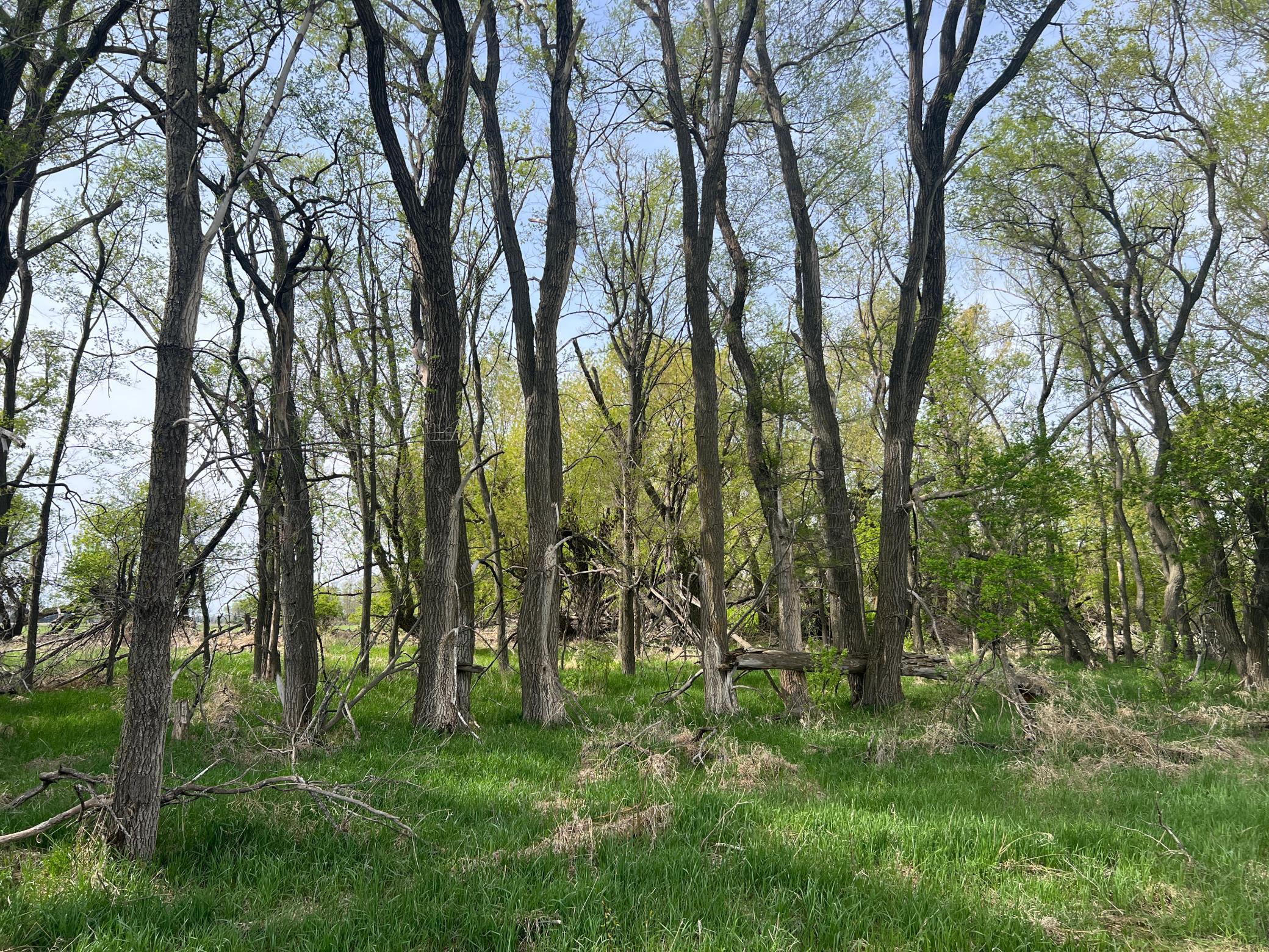 main property photo 18