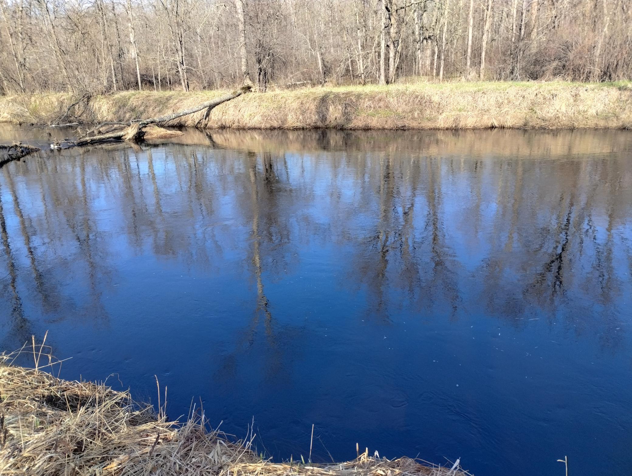 main property photo 10