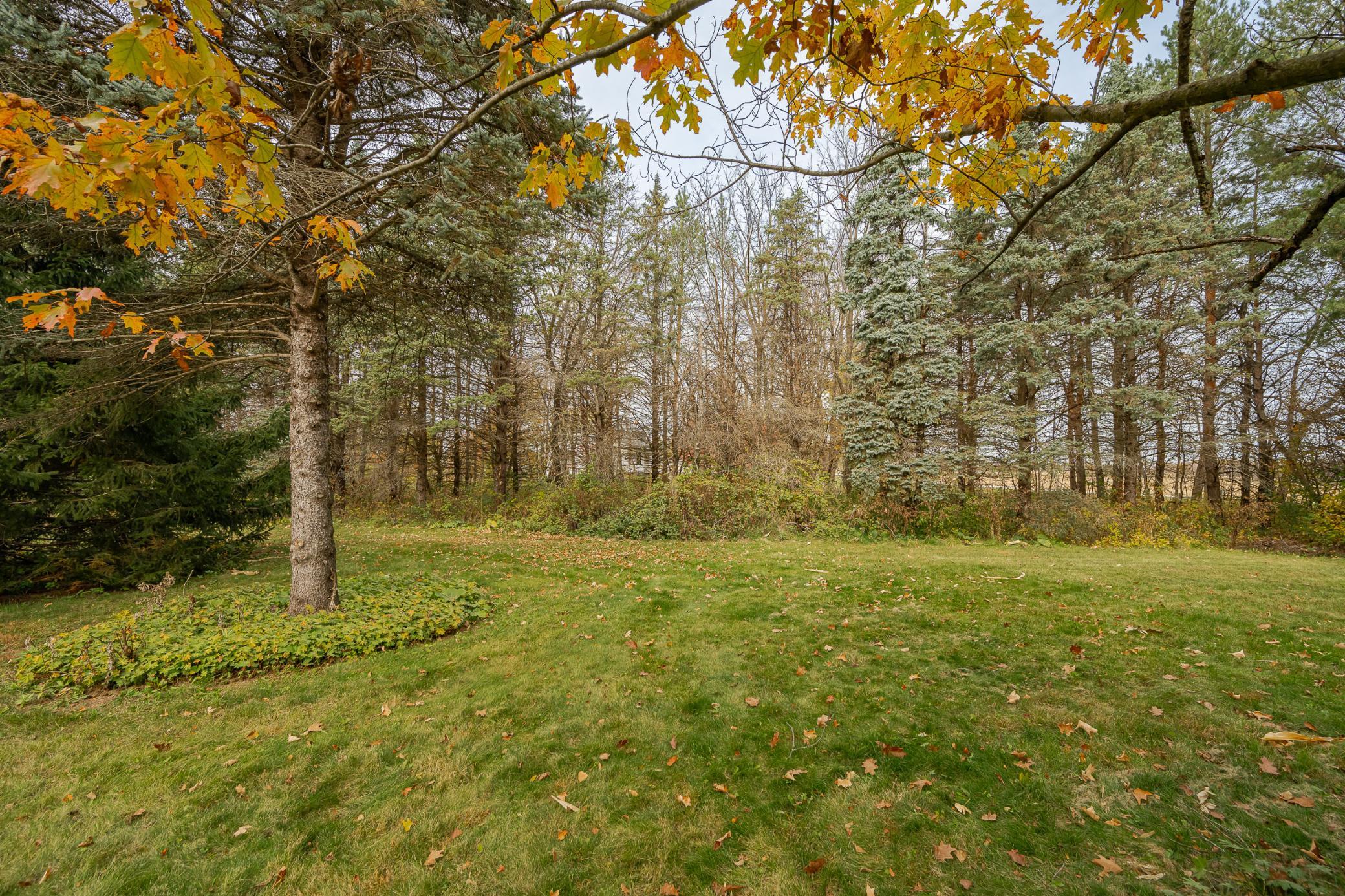 main property photo 53