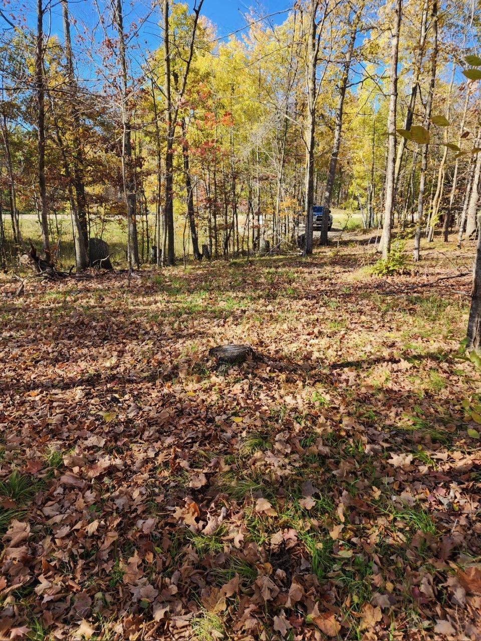 main property photo 8