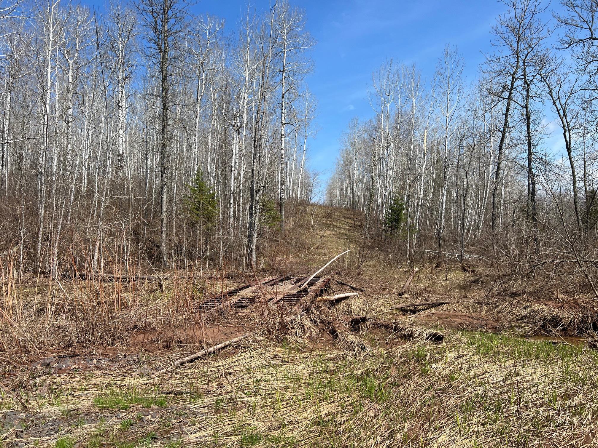 main property photo 17