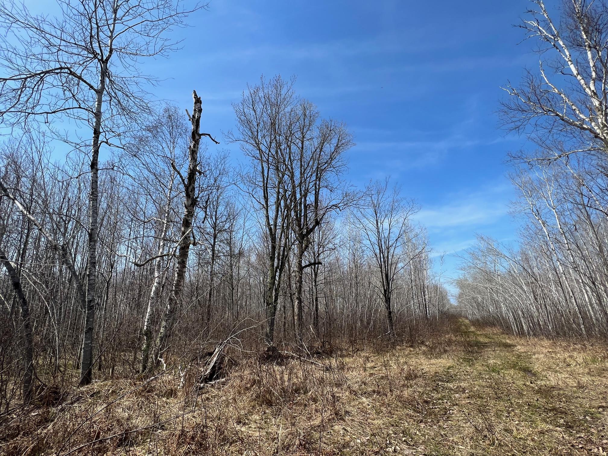 main property photo 18