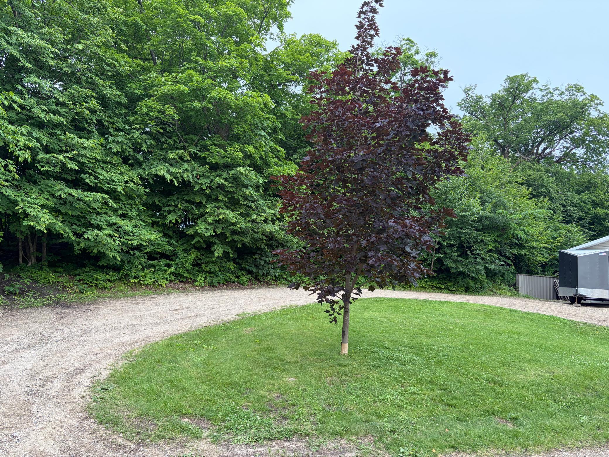 main property photo 115