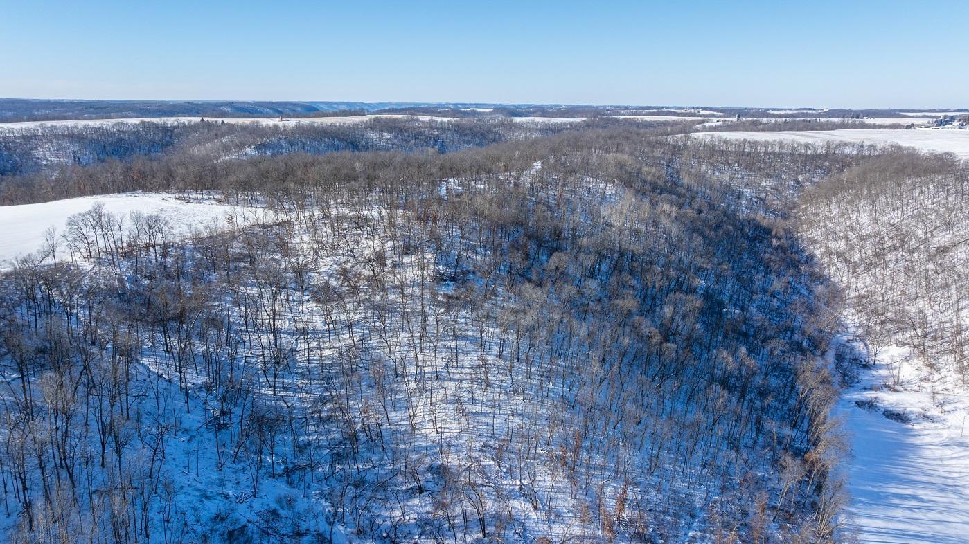 main property photo 62
